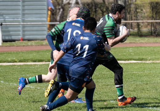 Sport